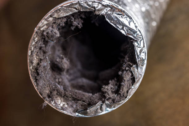 Air Duct Mold Removal in AZ